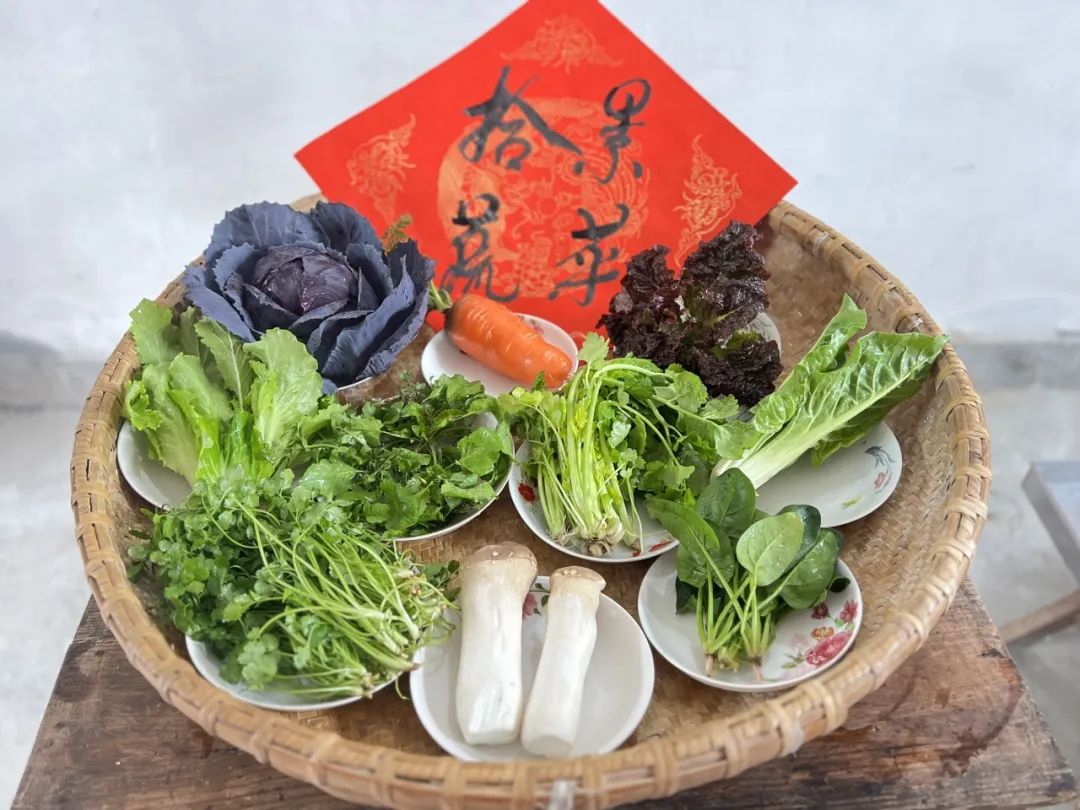 立春到来，繁花可期，来四团镇西村咬春拾景吧！丨爱申活暖心春